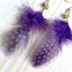 ホロホロ鳥の羽毛ピアス　パープル