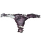 Beautiful Bottoms Winter Rose Ruched Knicker