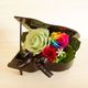 RAINBOW ROSE “Rainbow Rhythm” （BLACK）レインボーローズのグランドピアノアレンジ