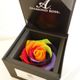 DIAMOND ROSE  “my　RAINBOW”　☆虹色を隠したフラワーボックス☆レインボーローズ×天然ダイヤモンド