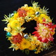 Yellow Wreath