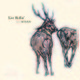 Live Rollin’/ band HANADA