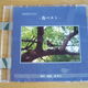 CD 癒しの森　鳥ベスト