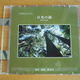 CD 癒しの森　日光の森