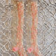 SHIROMA filament high socks -pink×beige-