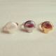 Shell pinky ring