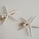 Starfish barrette