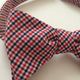 蝶ネクタイbowtieトリコロール