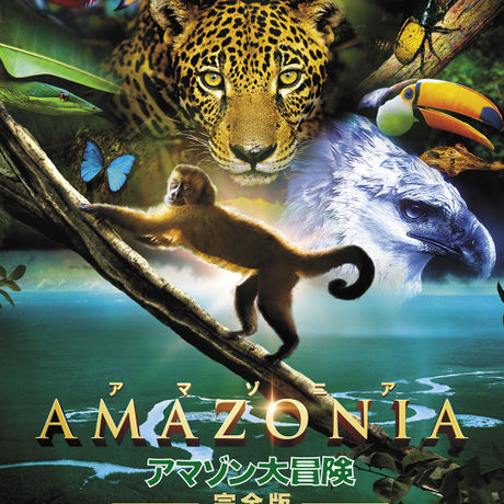 「AMAZONIA アマゾニア-アマゾン大冒険【完全版】- 」DVD