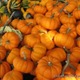 8x10 Fall Decor Print