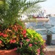 8 x 10 Flower and Boat decor print