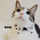 BOW TIE / Sweet Heart（White & Black）