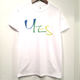 mash MS-BDNS-24   YES   Tee (WHITE/BLUE×GREEN×YELLOW) 
