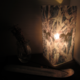 夜の森 -Lamp-