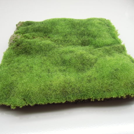 苔マット