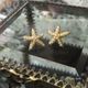 パールスターフィッシュピアス