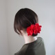 moyan hair gum red