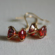 ピアス　Bs0016