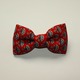 spring5-red