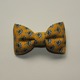 spring5-yellow