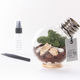 BULB TERRARIUM KIT 02 + AIRPLANTS LARGE SET（URBAN GREEN MAKERS）