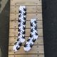  【残り僅か】HUF   PLANT LIFE   HIGH SOCK”(white/Ladies) 