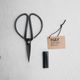 SCISSORS from NORWAY by TAKAYUKI TOMIO