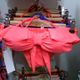 swim wear
