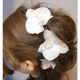 【プリザーブドフラワー/ヘアアクセサリーシリーズ/本当の胡蝶蘭の髪飾り】特別なあなたのために。幸せを運ぶ白い胡蝶蘭の魔法の枯れないお花の髪飾り