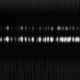 REXLACE 002 ブラック （ランヤード・クラフトレース素材）