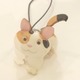 三毛猫