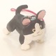 白黒猫