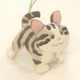 キジトラ猫