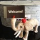 Welcomeぞう