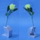  test tube holder   ICHIRIN   L-size 