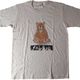 サーモンベアＴシャツ
