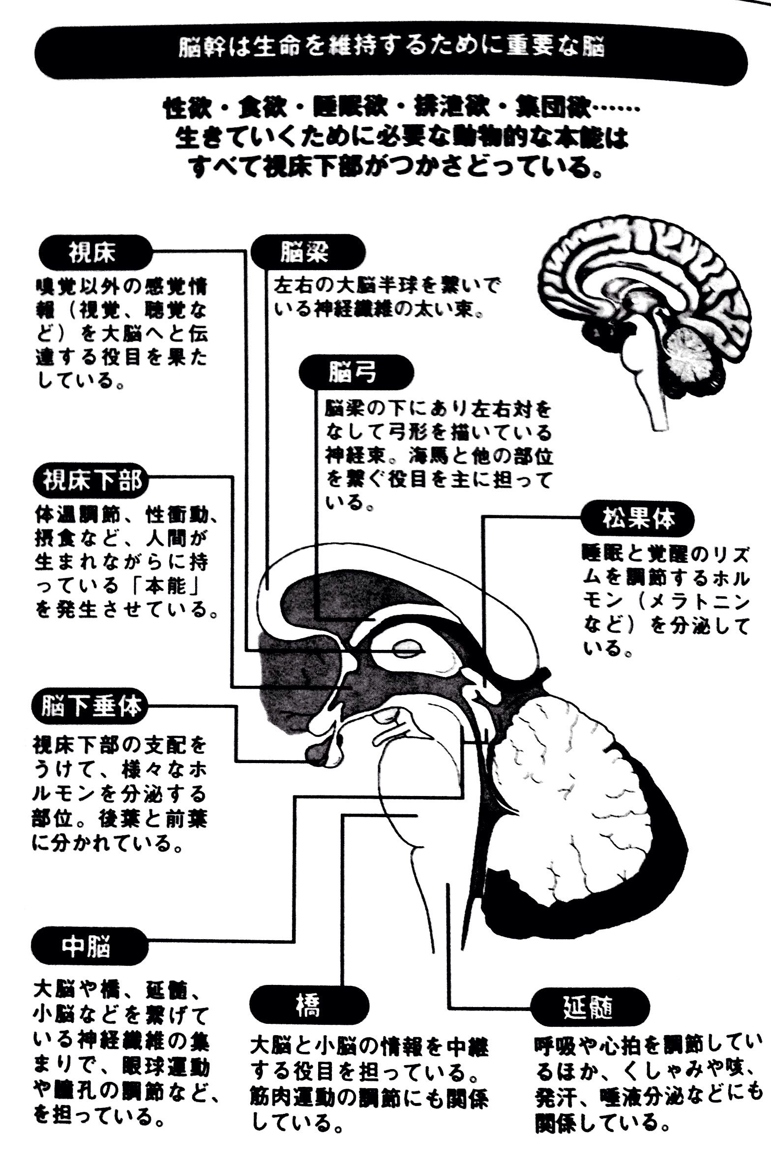 Takuman Brainscience
