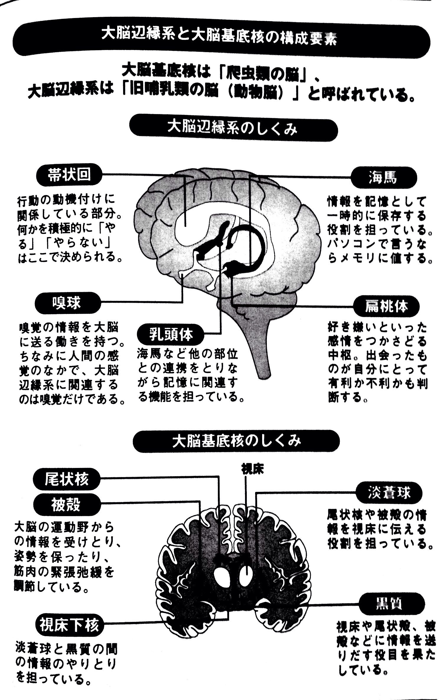 Takuman Brainscience