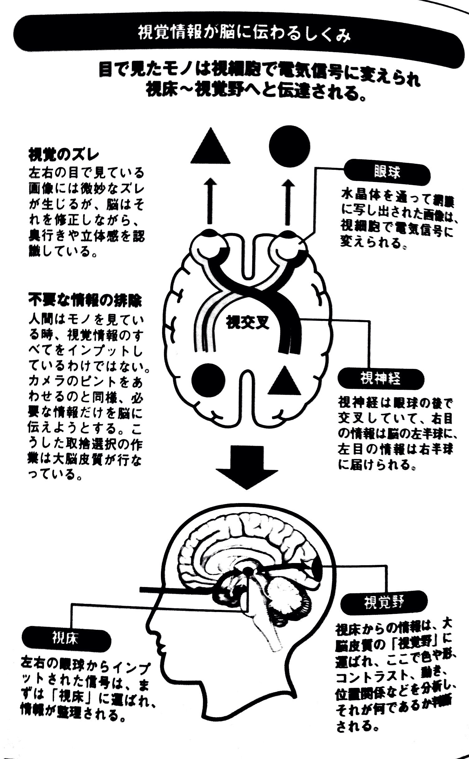 Takuman Brainscience
