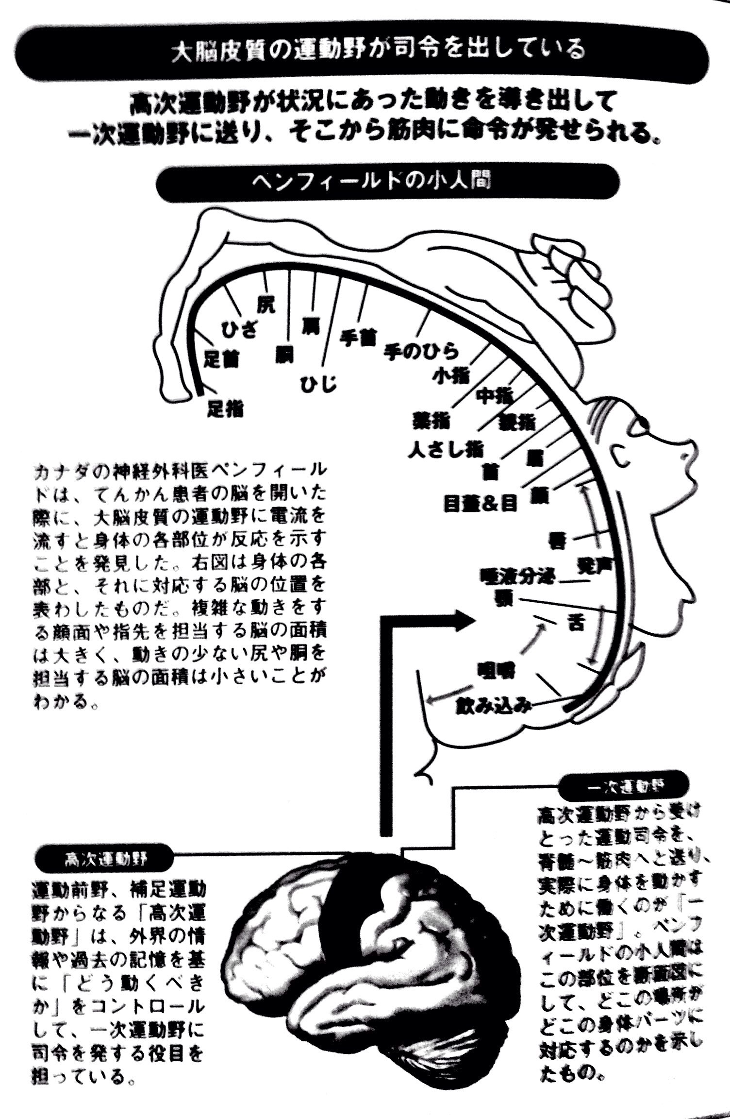 Takuman Brainscience