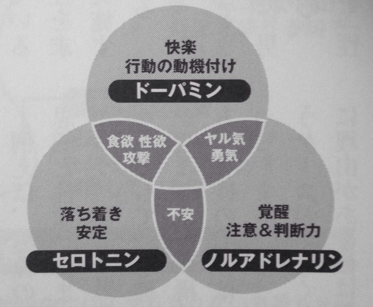 Takuman Brainscience