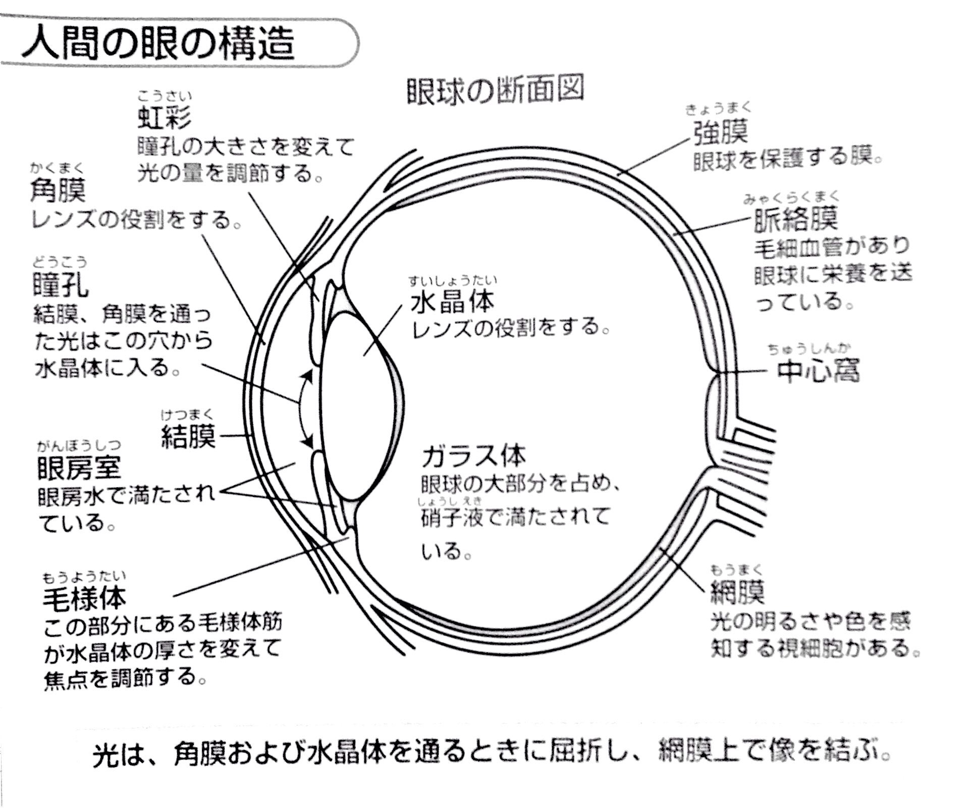 Takuman Colorpsychology