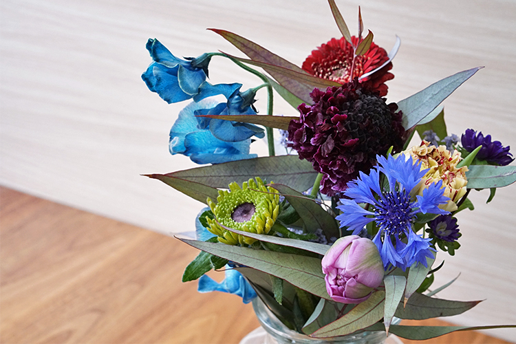 【今月は何が届いた？】季節の花の定期便／北海道十勝のチーズ／金沢の手作りドーナツ編