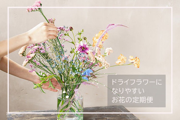 【花のサブスク】greenpiece「ドライフラワーになりやすいお花の定期便」2022年4月