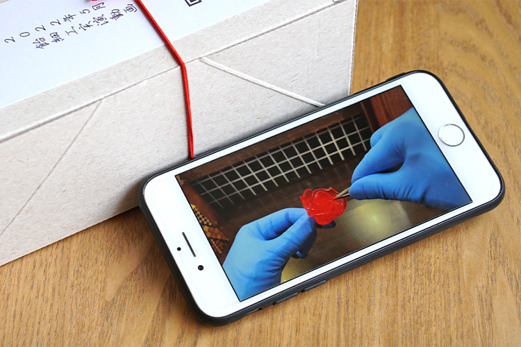 【今月は何が届いた？】GODIVAのサブスク／日本伝統の飴細工／シングルオリジン日本茶編