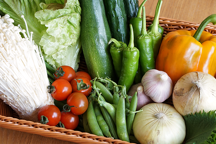 【今月は何が届いた？】わたご酒店厳然の日本酒／旬の土佐野菜／文房具のサブスク編