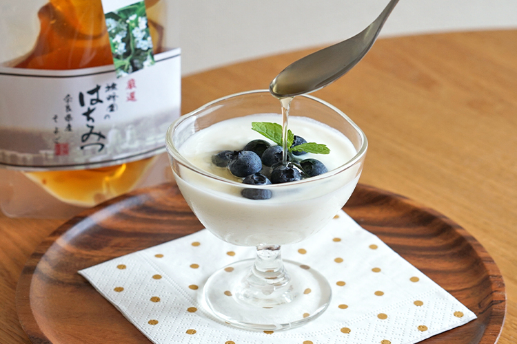 【蜂蜜のサブスク】雅蜂園こだわりの国産はちみつが毎月届く定期便（2023年6月）