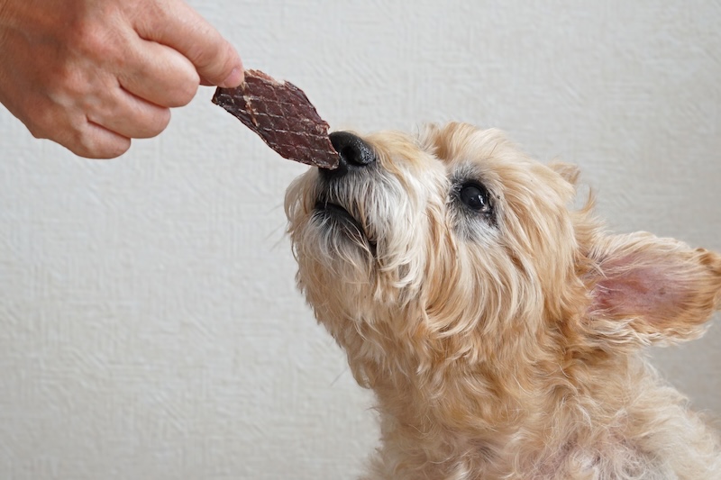 【ペットフードのサブスク】ヒューマングレードのおやつが毎月届く！ジビエペットフードの定期便《3種類》