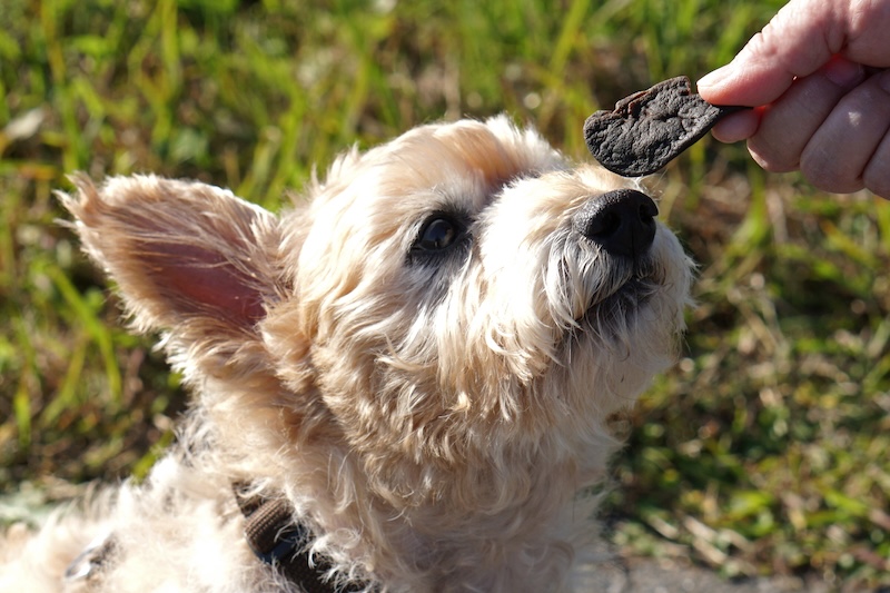 【ペットフードのサブスク】ヒューマングレードのおやつが毎月届く！ジビエペットフードの定期便《3種類》