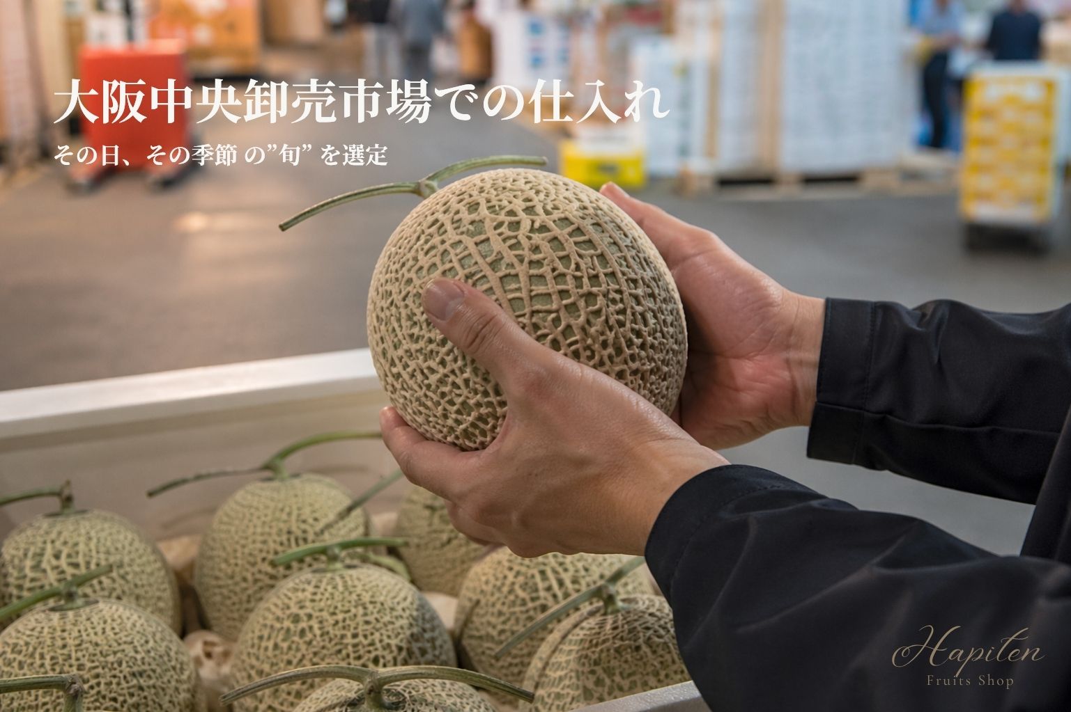 【フルーツのサブスク】厳選メロン定期便｜月に一度の贅沢　<配送先：本州・四国・九州>